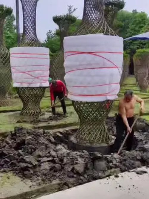 巨無(wú)霸紫薇造型樹震撼登場(chǎng)，金牌苗木人誠(chéng)信供應(yīng)精品綠化苗木